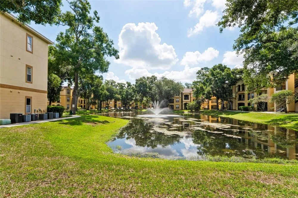 5618 PINNACLE HEIGHTS CIRCLE #312 Tampa, FL 33624