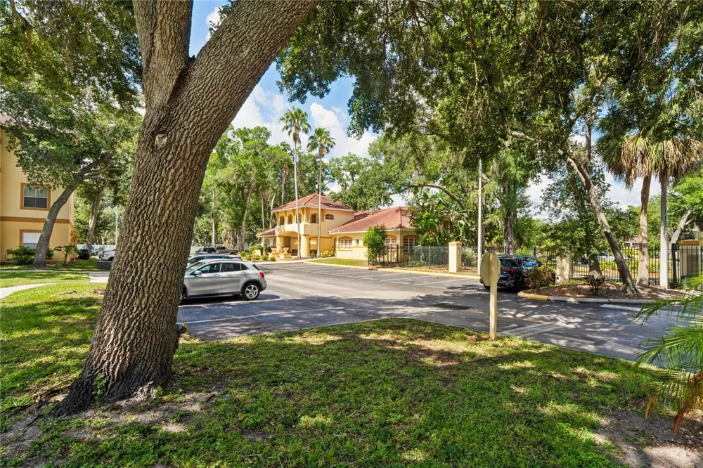 5618 PINNACLE HEIGHTS CIRCLE #312 Tampa, FL 33624