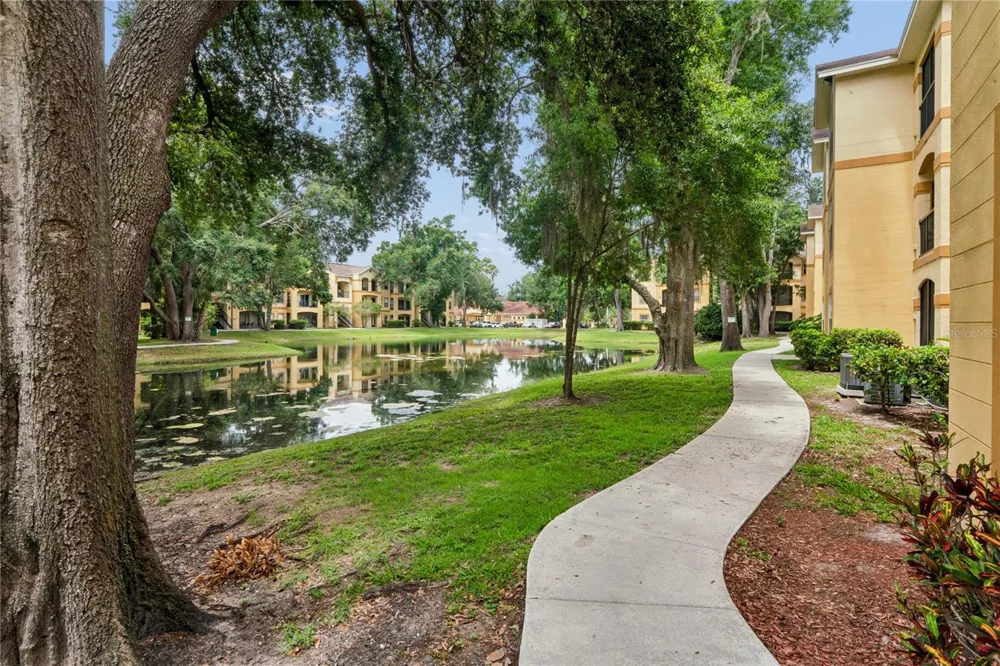 5618 PINNACLE HEIGHTS CIRCLE #312 Tampa, FL 33624