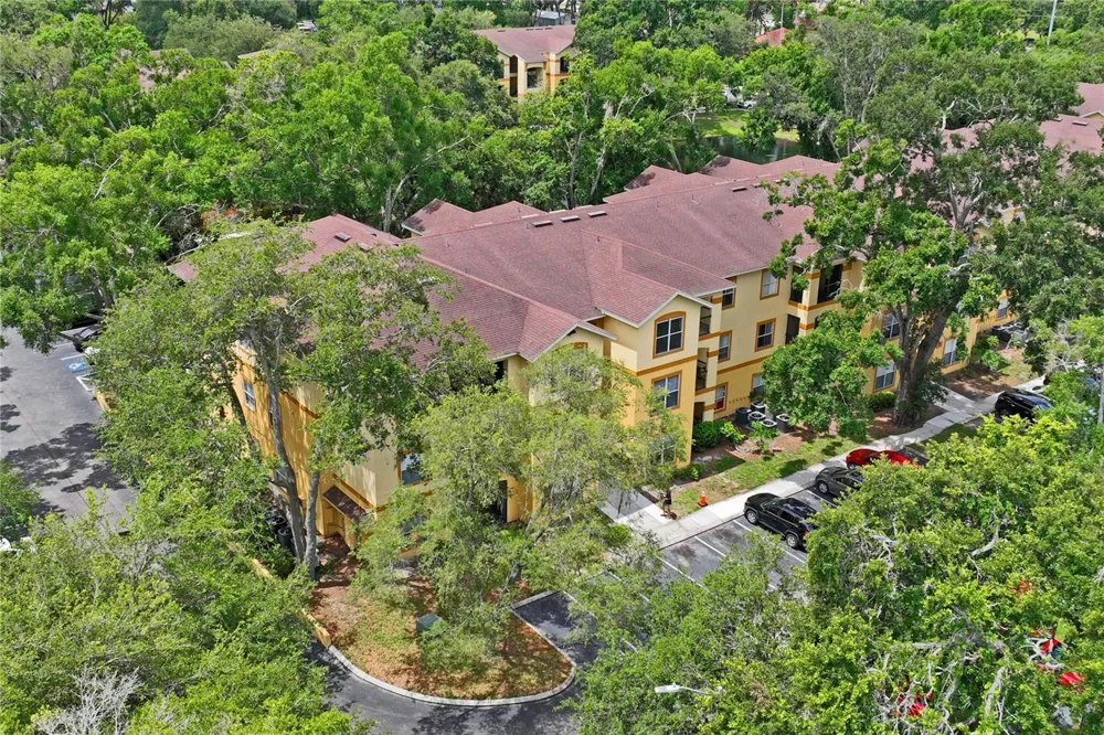 5618 PINNACLE HEIGHTS CIRCLE #312 Tampa, FL 33624