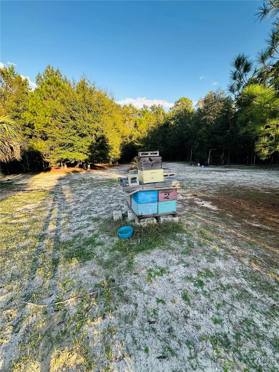 1889 RANCHLAND TRAIL Longwood, FL 32750