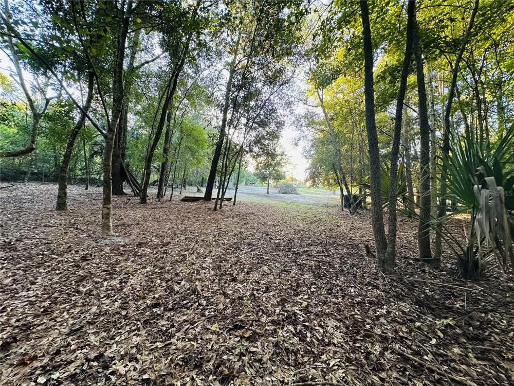 1889 RANCHLAND TRAIL Longwood, FL 32750