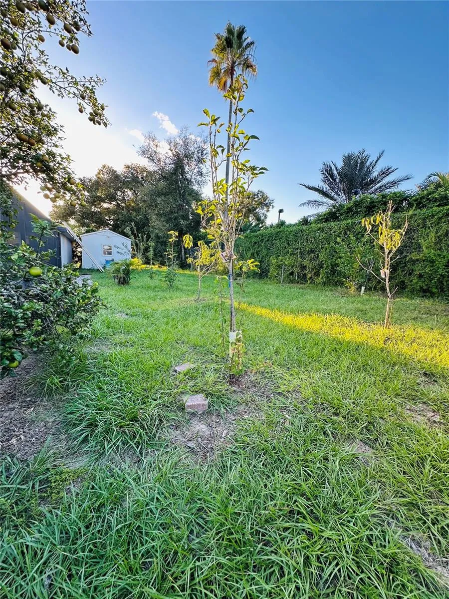 1889 RANCHLAND TRAIL Longwood, FL 32750