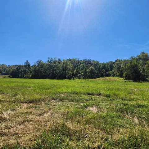 229 Bob Walker Rd