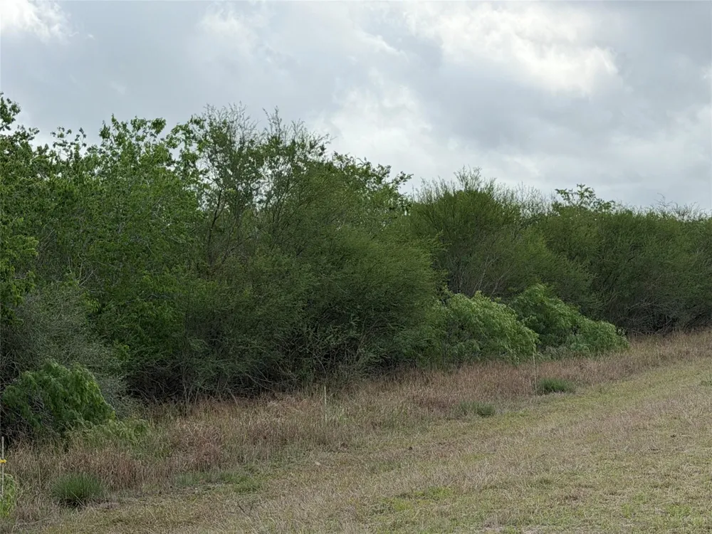9 Love Road Victoria, TX 77904