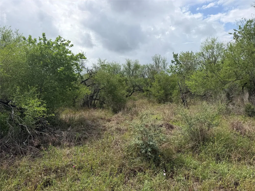 9 Love Road Victoria, TX 77904
