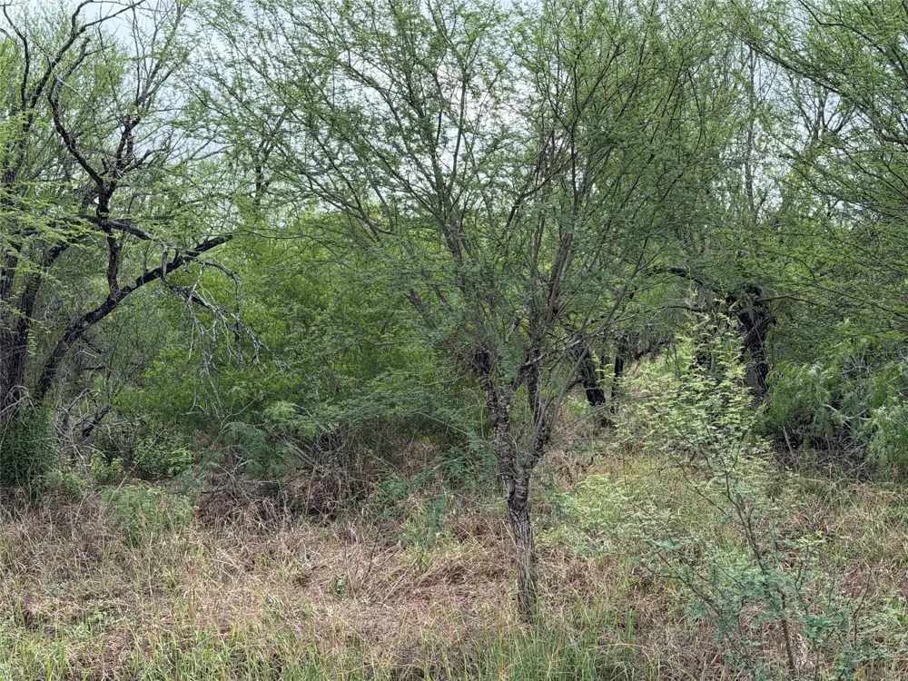 9 Love Road Victoria, TX 77904