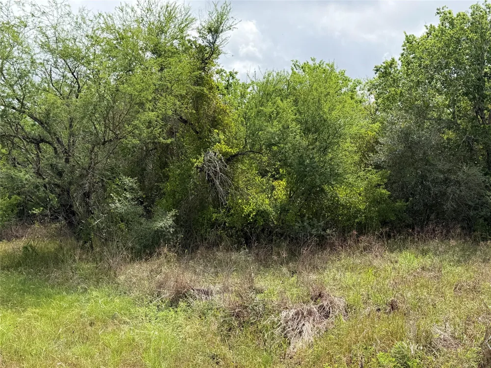 9 Love Road Victoria, TX 77904