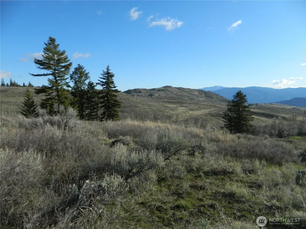 0 TBD Ellemeham Ridge Road Tonasket, WA 98855