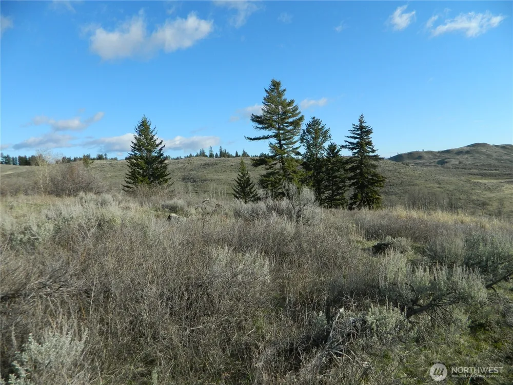 0 TBD Ellemeham Ridge Road Tonasket, WA 98855