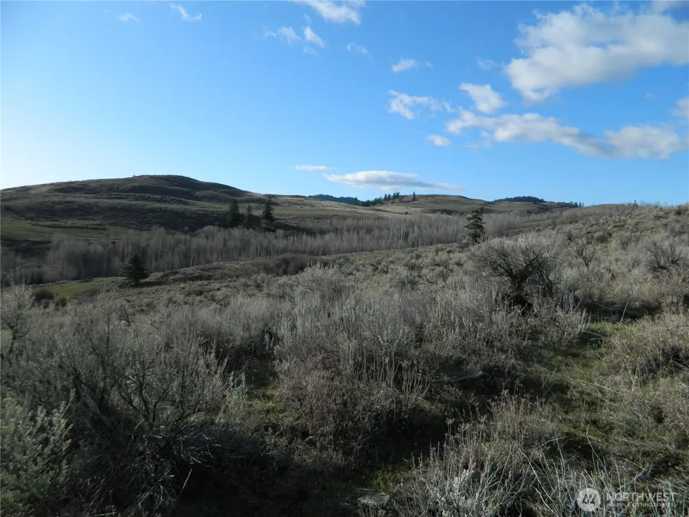 0 TBD Ellemeham Ridge Road Tonasket, WA 98855