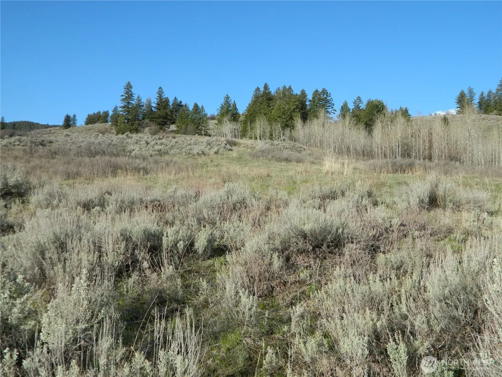 0 TBD Ellemeham Ridge Road Tonasket, WA 98855