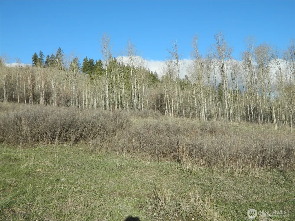 0 TBD Ellemeham Ridge Road Tonasket, WA 98855