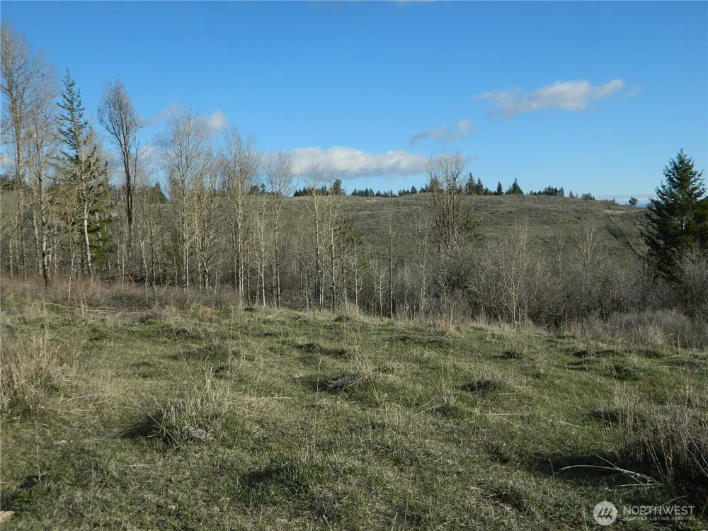 0 TBD Ellemeham Ridge Road Tonasket, WA 98855