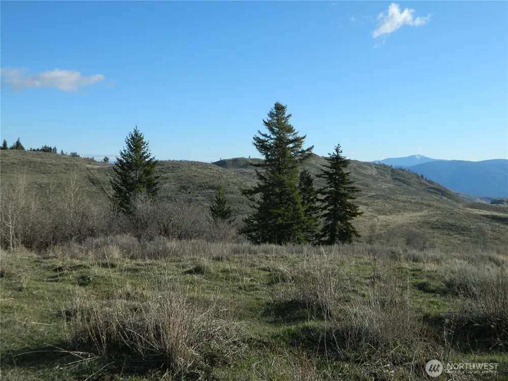 0 TBD Ellemeham Ridge Road Tonasket, WA 98855