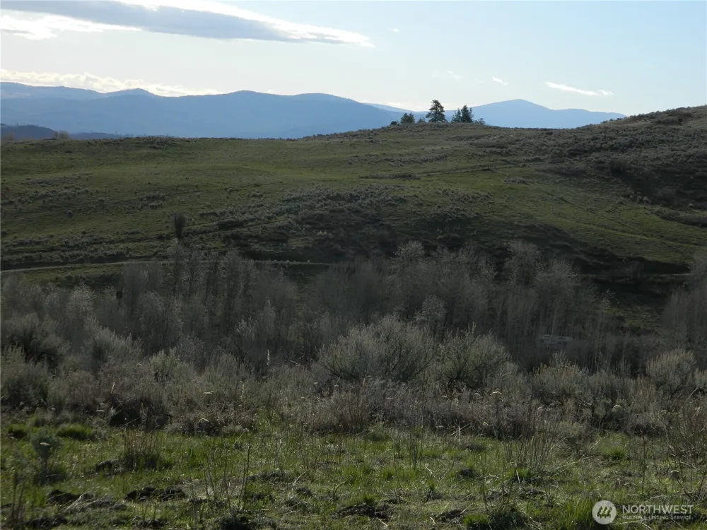 0 TBD Ellemeham Ridge Road Tonasket, WA 98855