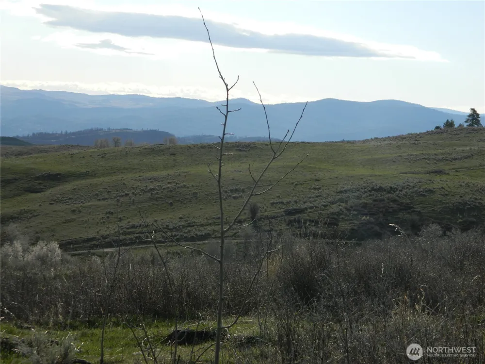 0 TBD Ellemeham Ridge Road Tonasket, WA 98855