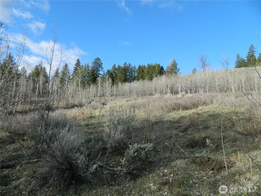 0 TBD Ellemeham Ridge Road Tonasket, WA 98855