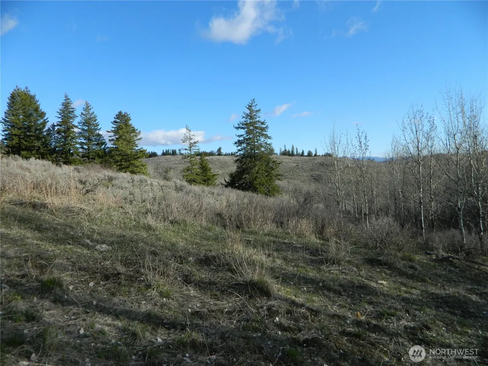 0 TBD Ellemeham Ridge Road Tonasket, WA 98855