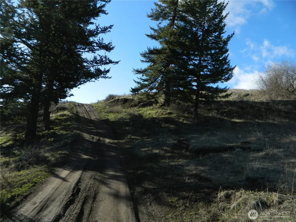 0 TBD Ellemeham Ridge Road Tonasket, WA 98855