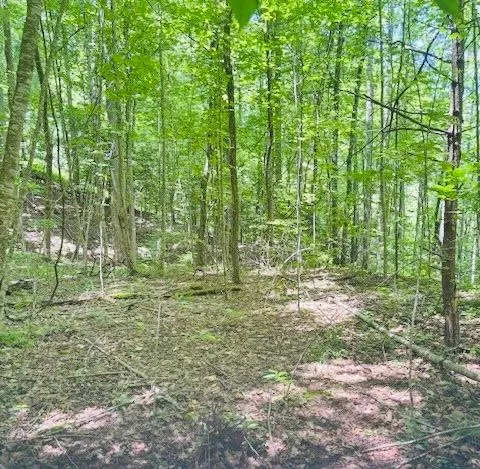 Macs Mountain Retreat Lane