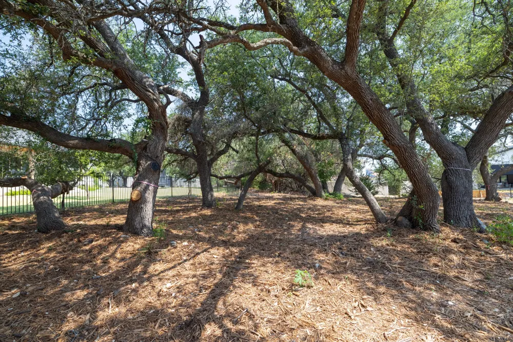 903 Flint Ridge Trail Georgetown, TX 78628