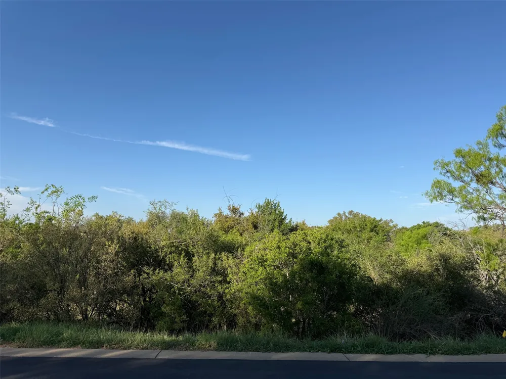 12025 Cats Eye Horseshoe Bay, TX 78657
