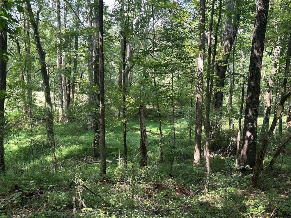 0 Attaway Road-9.22 Bowdon, GA 30108