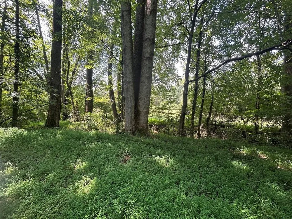 0 Attaway Road-9.22 Bowdon, GA 30108