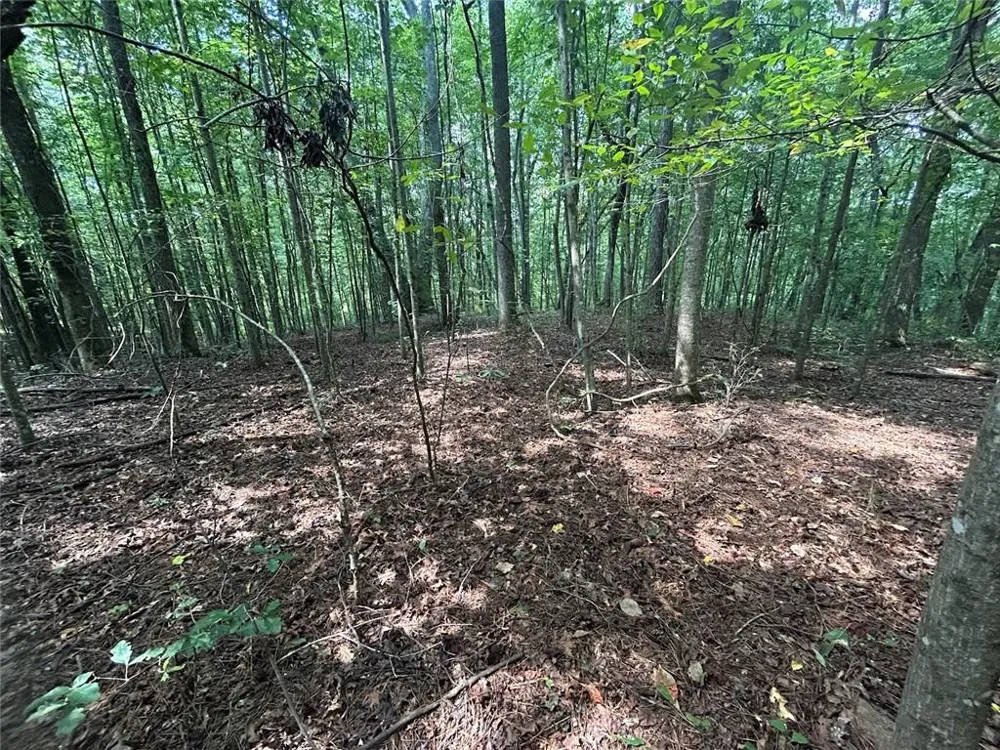 0 Attaway Road-9.22 Bowdon, GA 30108