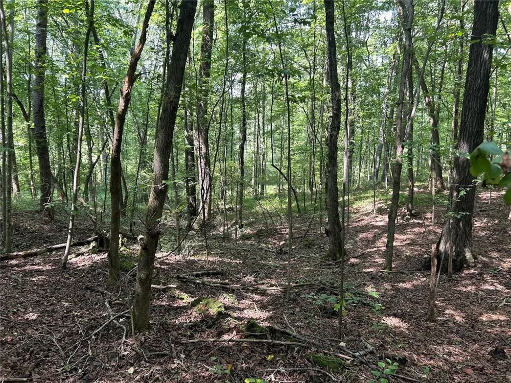 0 Attaway Road-9.22 Bowdon, GA 30108