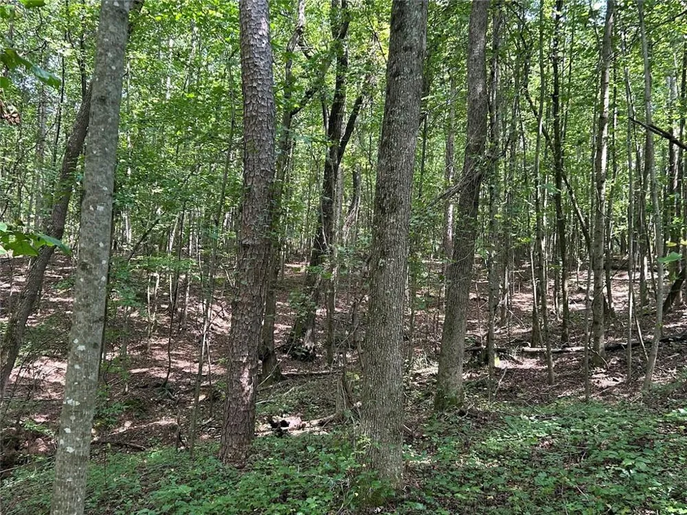 0 Attaway Road-9.22 Bowdon, GA 30108