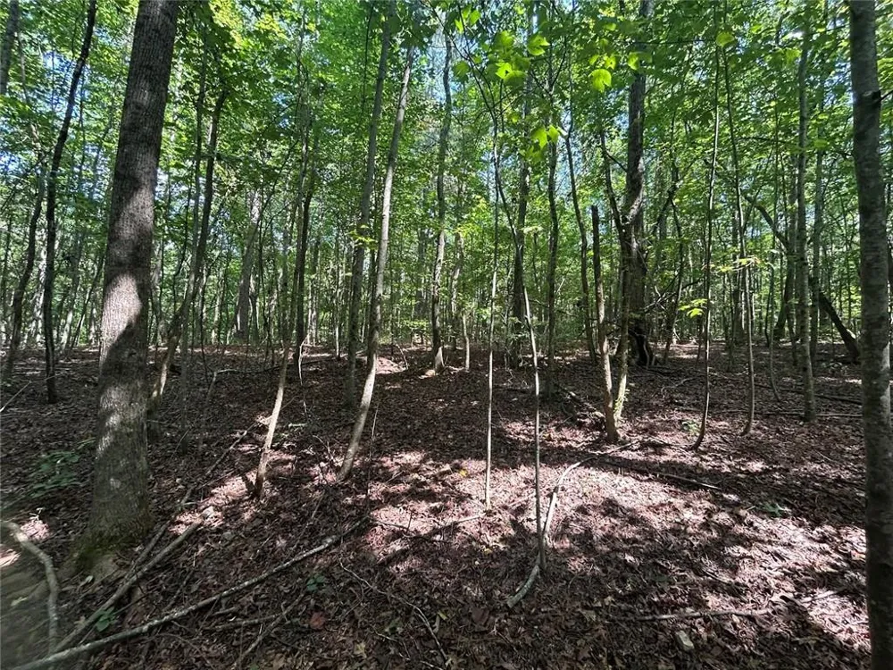 0 Attaway Road-9.22 Bowdon, GA 30108
