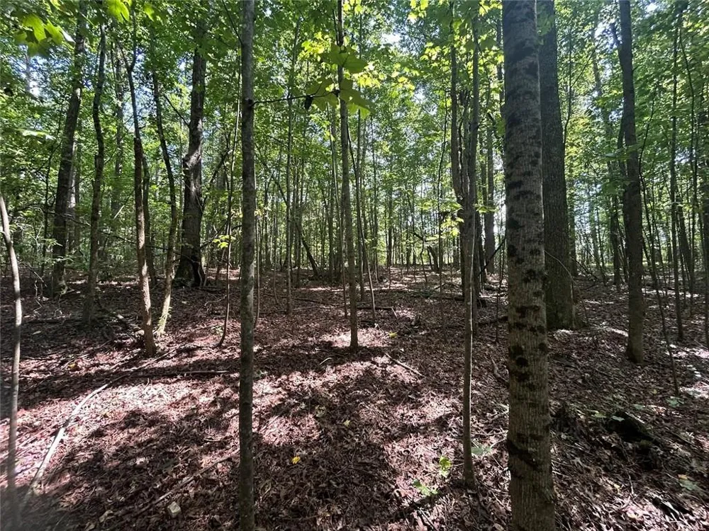 0 Attaway Road-9.22 Bowdon, GA 30108