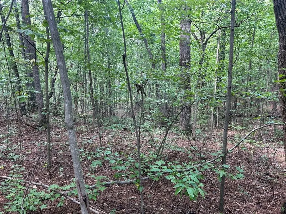 0 Attaway Road-9.22 Bowdon, GA 30108
