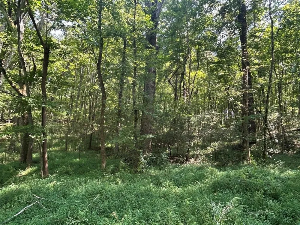 0 Attaway Road-9.22 Bowdon, GA 30108