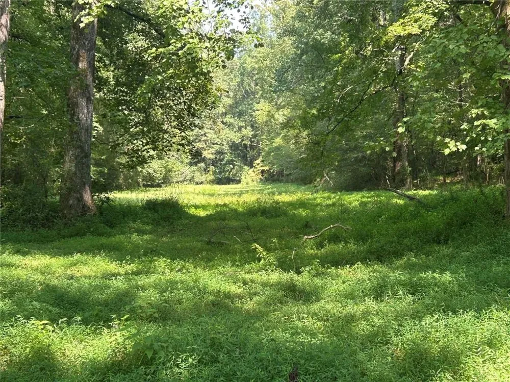 0 Attaway Road-9.22 Bowdon, GA 30108