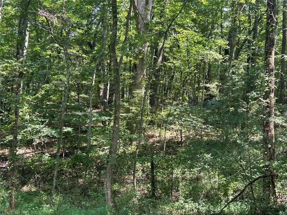 0 Attaway Road-9.22 Bowdon, GA 30108