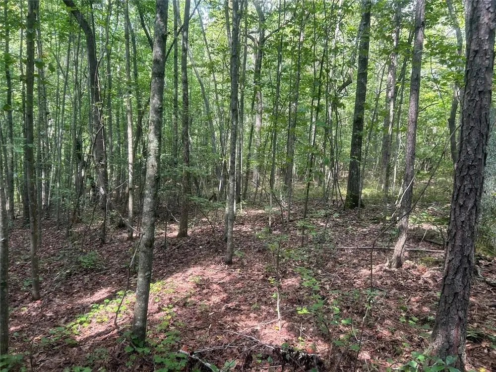 0 Attaway Road-9.22 Bowdon, GA 30108