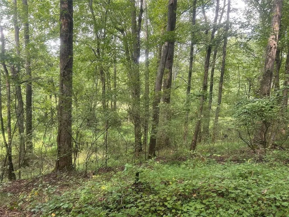 0 Attaway Road-9.22 Bowdon, GA 30108