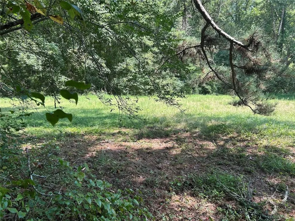 0 Attaway Road-9.22 Bowdon, GA 30108