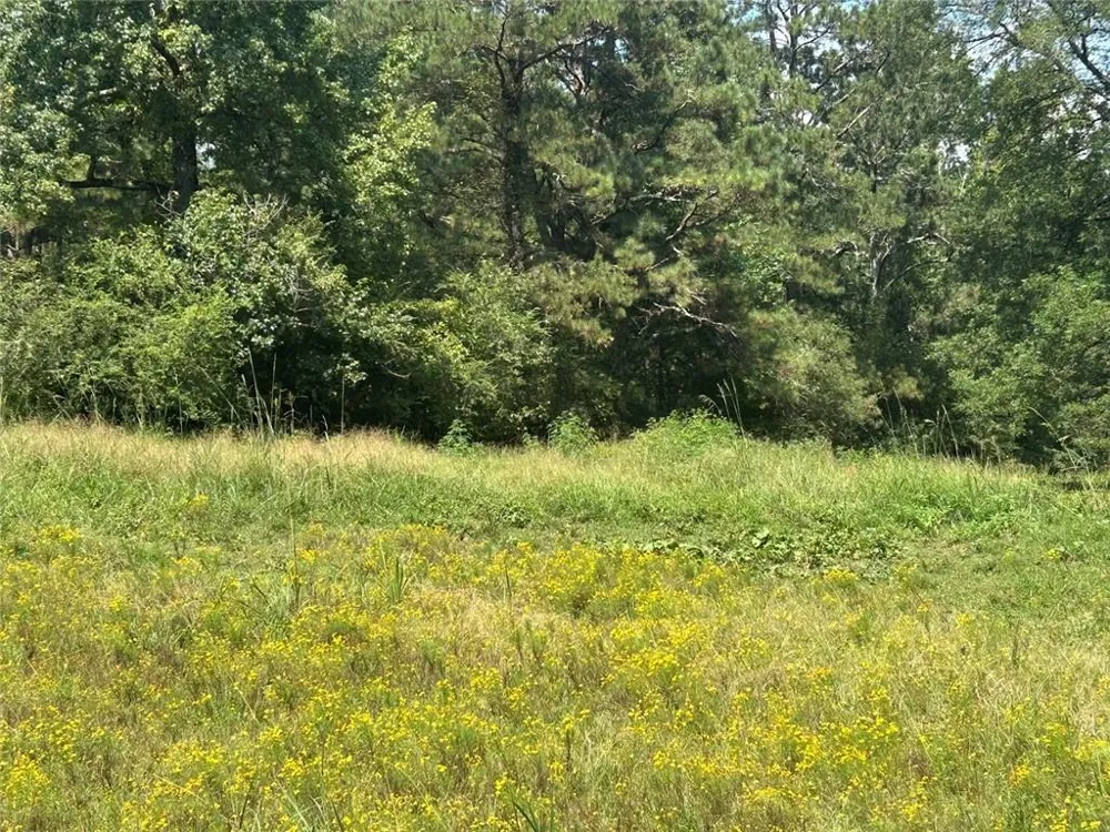 0 Attaway Road-9.22 Bowdon, GA 30108