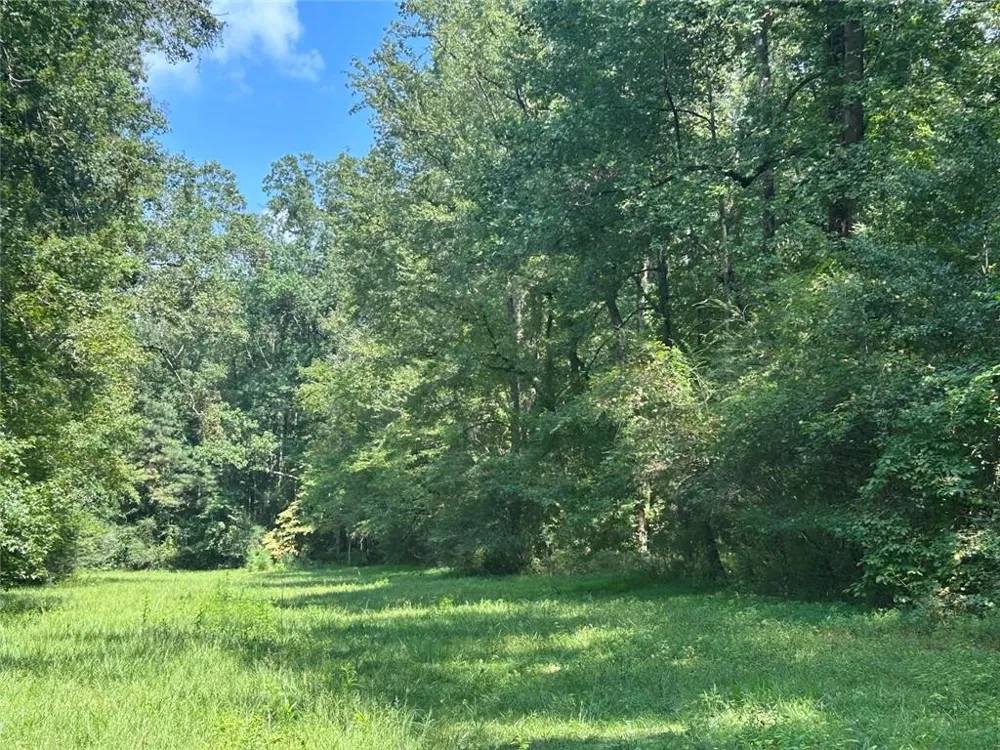 0 Attaway Road-9.22 Bowdon, GA 30108