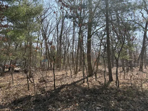 S Chief Okemos Trail