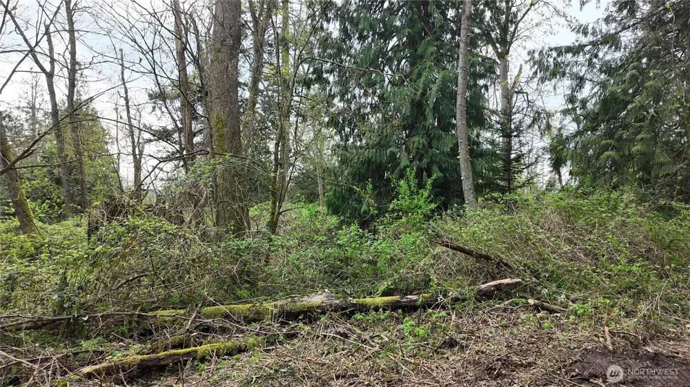 17584 Allen Road Bow, WA 98232