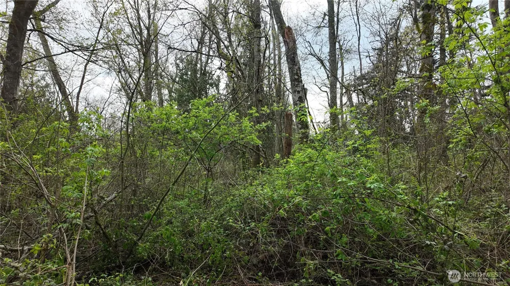17584 Allen Road Bow, WA 98232