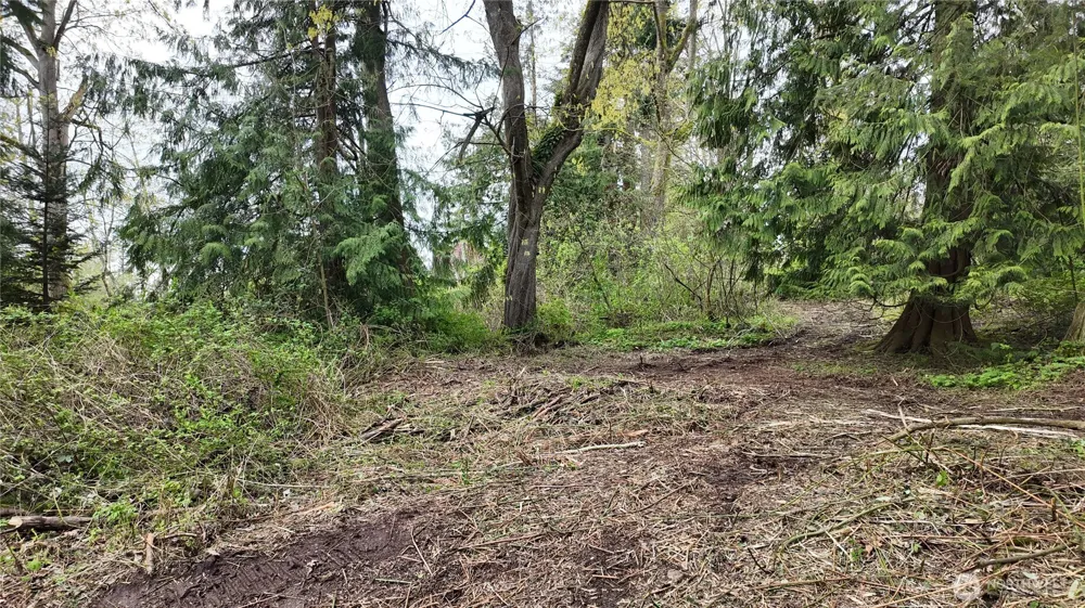 17584 Allen Road Bow, WA 98232