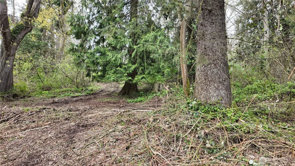 17584 Allen Road Bow, WA 98232