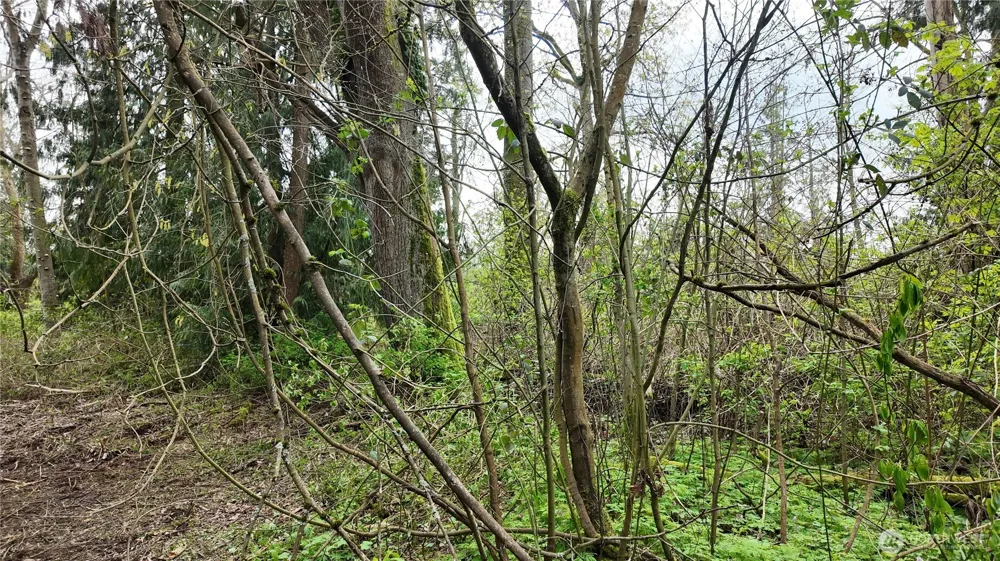 17584 Allen Road Bow, WA 98232