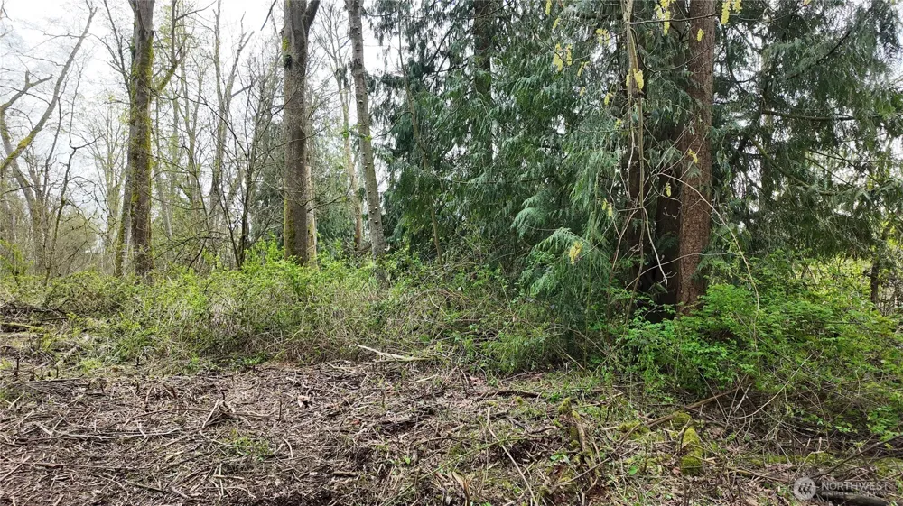 17584 Allen Road Bow, WA 98232